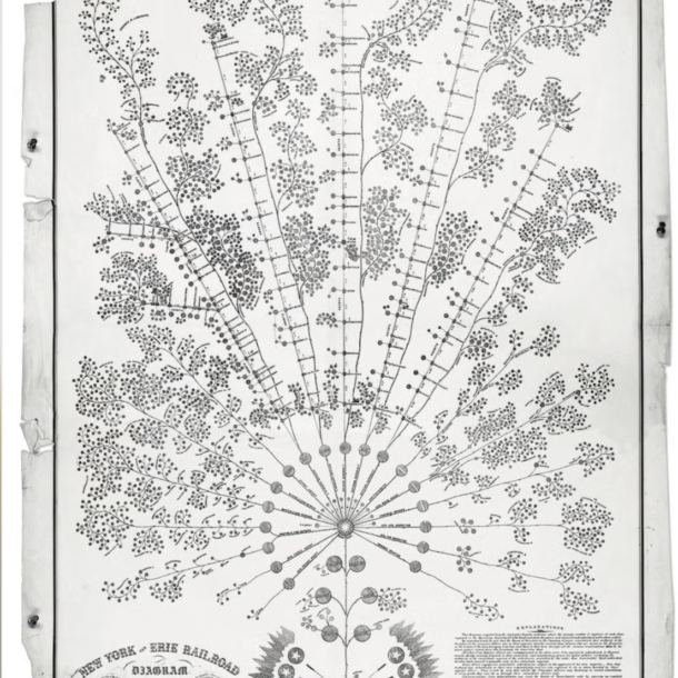 The first org chart - mccallum